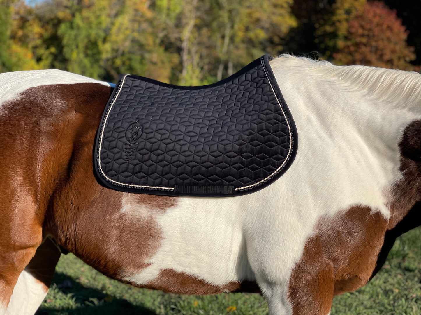 Velvet Embroidered Jumping Saddle Pad