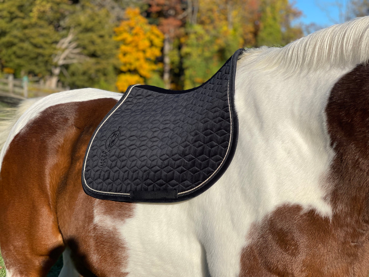 Velvet Embroidered Jumping Saddle Pad