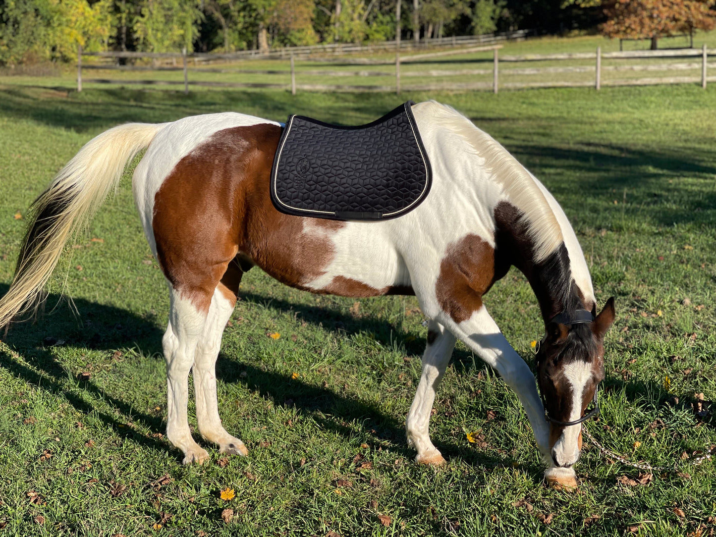 Velvet Embroidered Jumping Saddle Pad