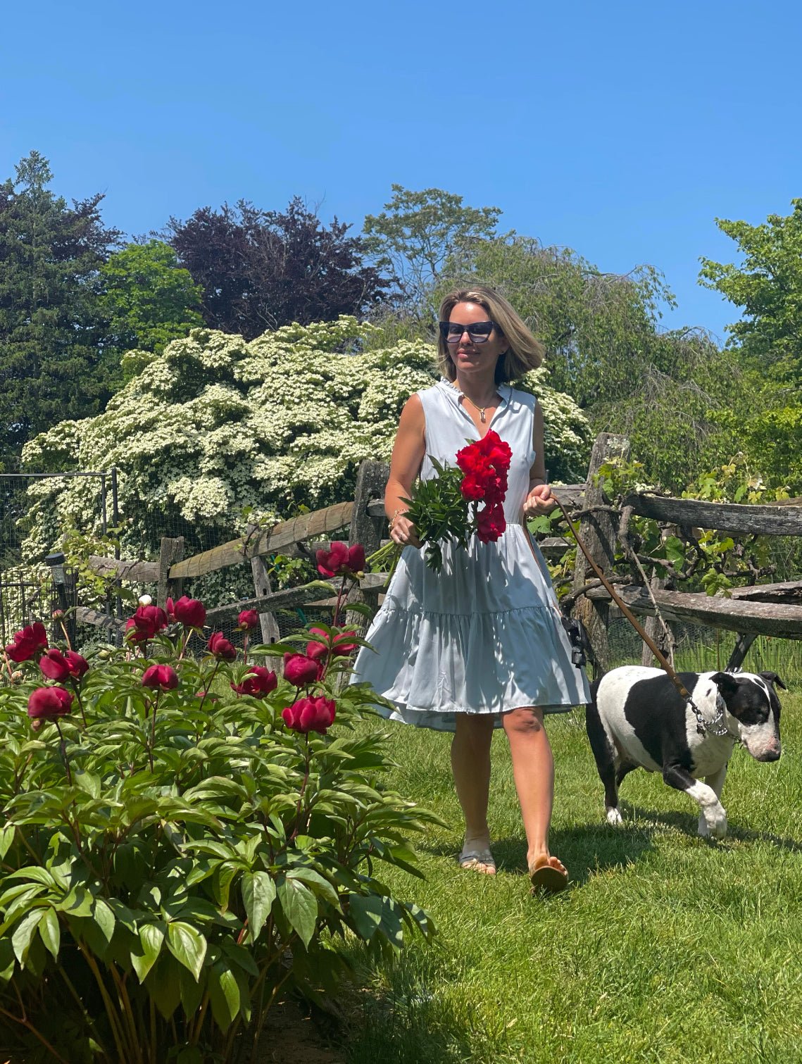 Elegant Ruffle Collar Dress - Camaroha Sutra