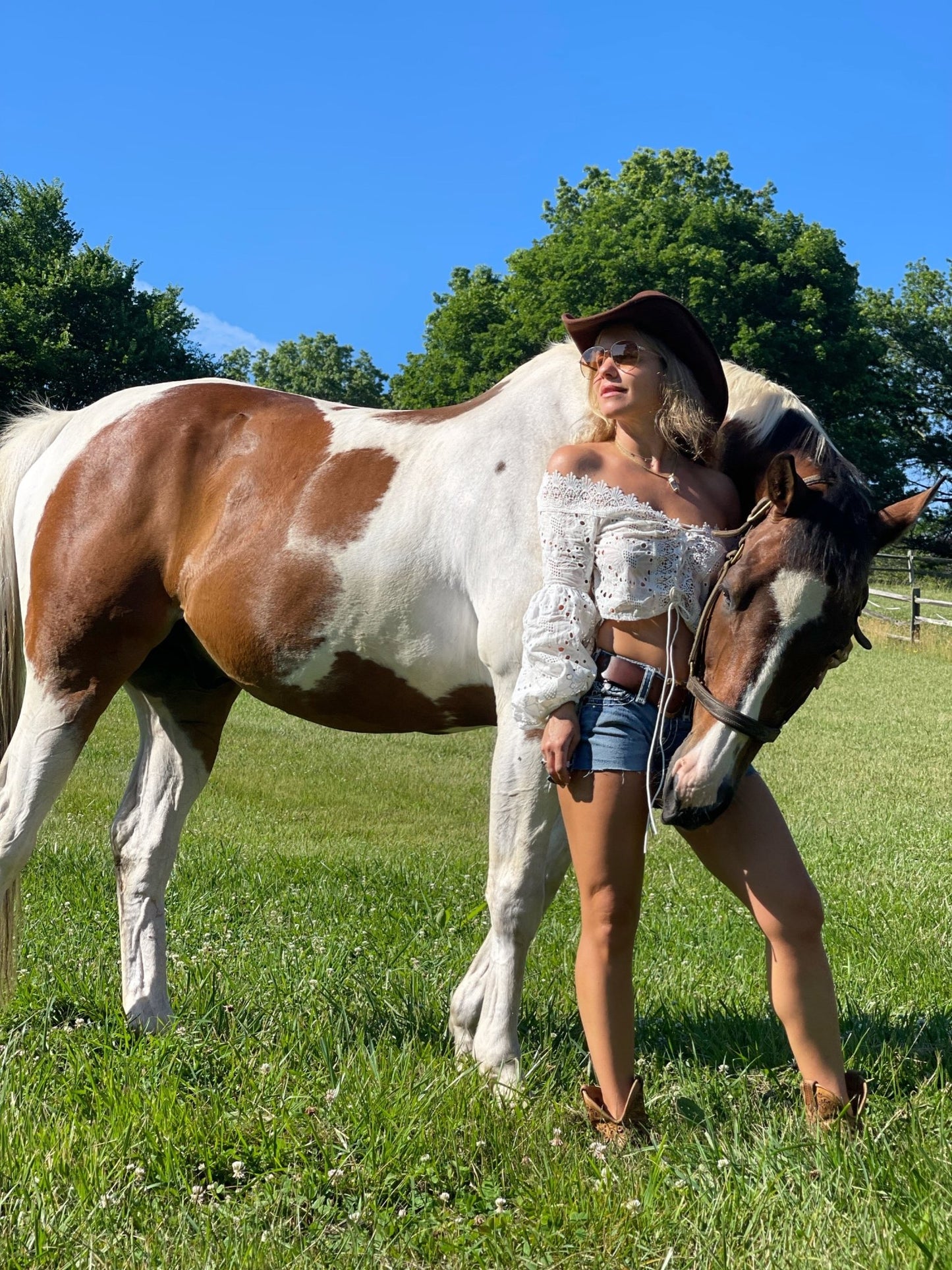 Eyelet Crop Long Sleeve - Camaroha Sutra