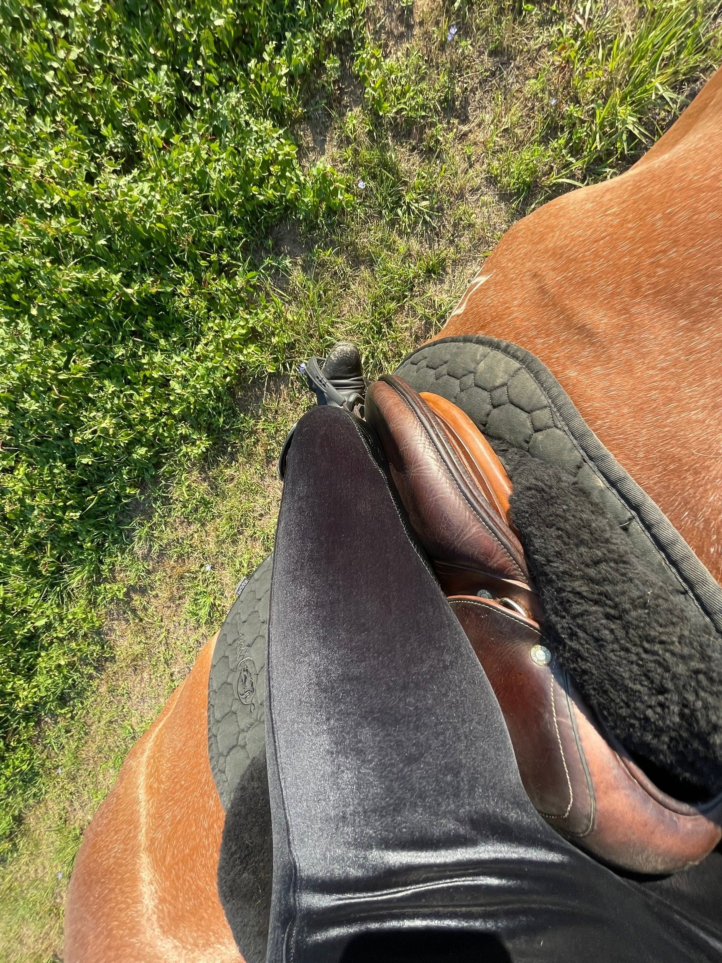Leather Half Seat Grip Velvet Breeches - Camaroha Sutra