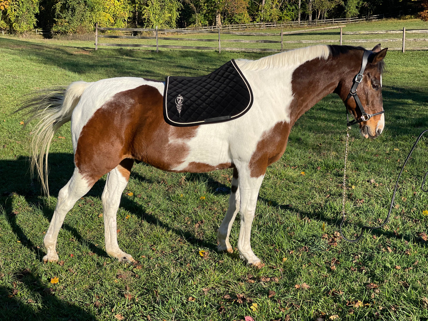 Corduroy Jumping Saddle Pad