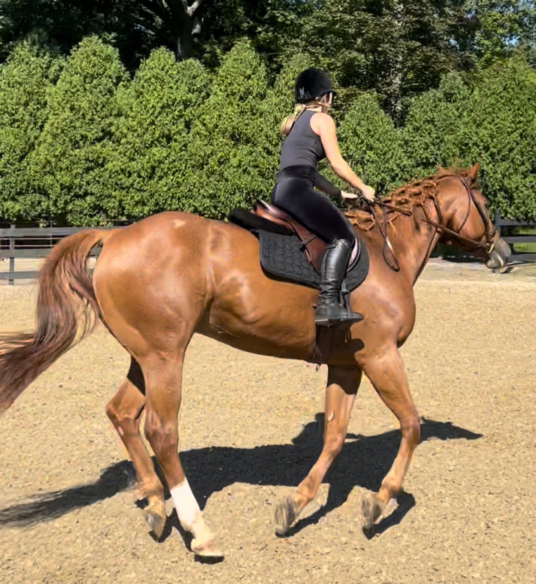 Leather Half Seat Grip Velour Breeches