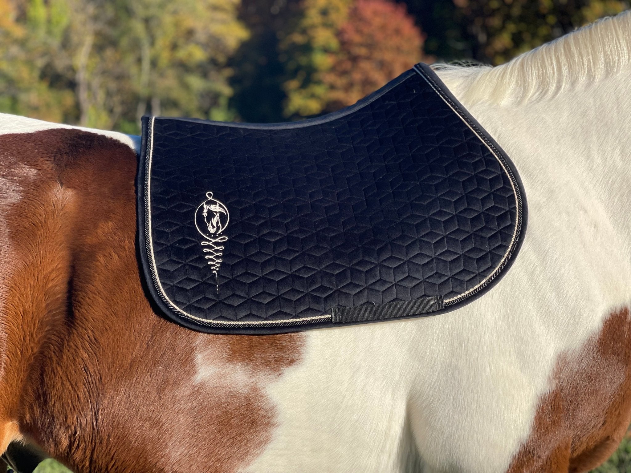 Velvet Jumping Saddle Pad – Camaroha Sutra